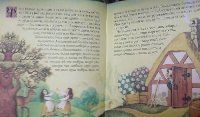 Иллюстрация 3 из 35 для Сказки - Гримм Якоб и Вильгельм | Лабиринт - книги. Источник: Настёна