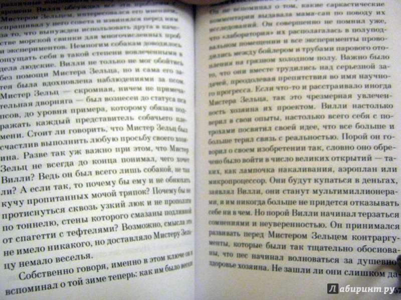 Иллюстрация 16 из 19 для Тимбукту - Пол Остер | Лабиринт - книги. Источник: Хабаров  Кирилл Андреевич