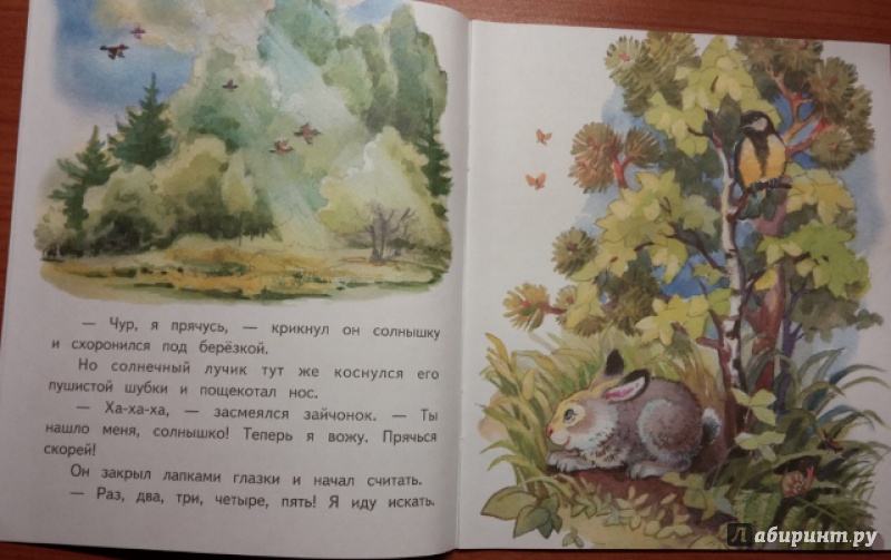 Иллюстрация 3 из 9 для Зайчонок и солнышко - Елена Ермолова | Лабиринт - книги. Источник: Мама Анюты