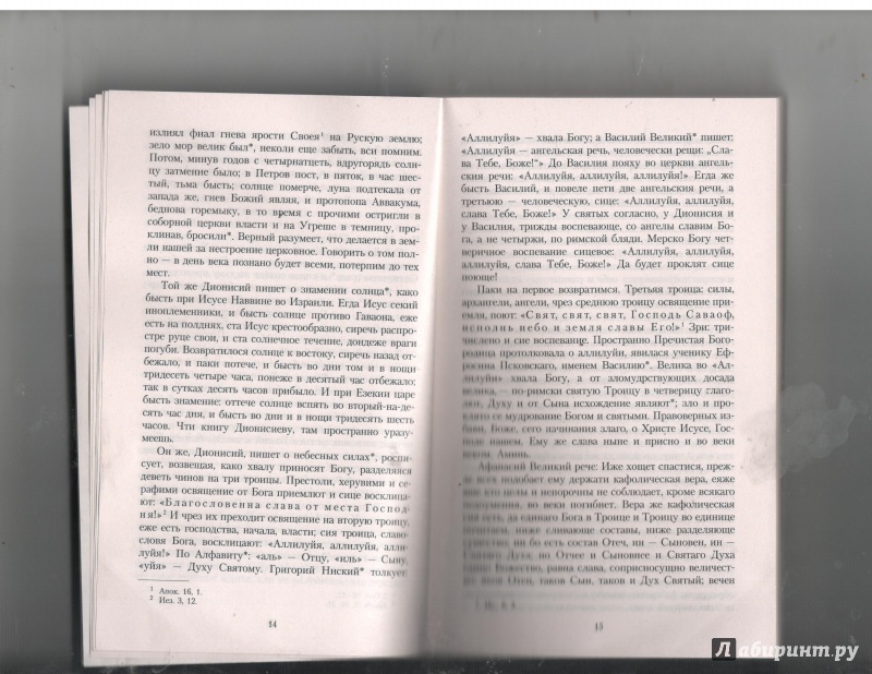 Иллюстрация 2 из 13 для Житие протопопа Аввакума, им самим написанное, и другие его сочинения - Аввакум Протопоп | Лабиринт - книги. Источник: Никед