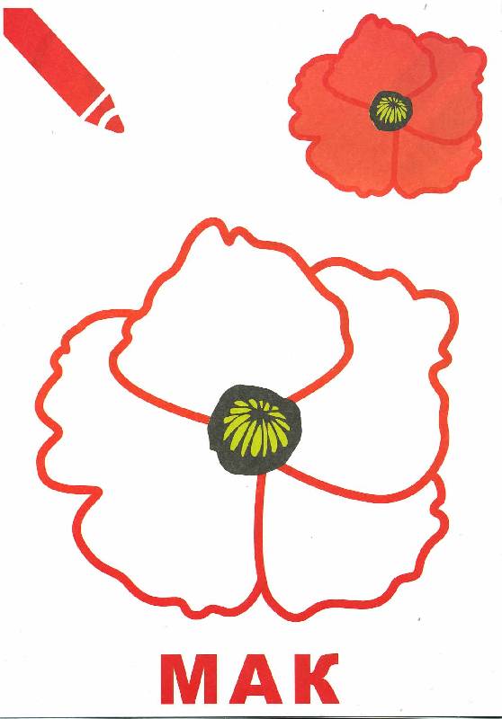 Иллюстрация 4 из 12 для Маленький художник:  Выпуск 11. Цветы | Лабиринт - книги. Источник: РИВА