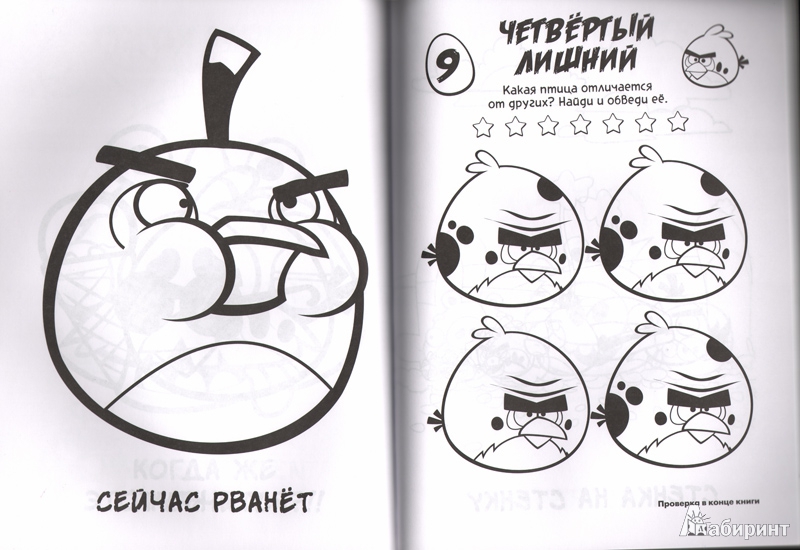 Иллюстрация 6 из 12 для Angry Birds. Свинству - нет! Гигантская книга раскрасок и заданий | Лабиринт - книги. Источник: Harley_Quinn