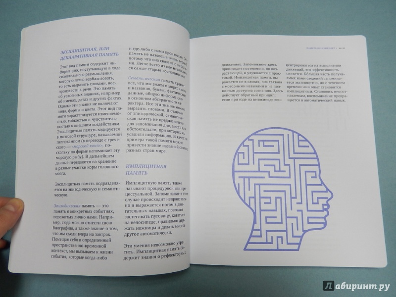 Иллюстрация 31 из 48 для Память не изменяет. Задачи и головоломки для развития интеллекта и памяти - Анхельс Наварро | Лабиринт - книги. Источник: dbyyb