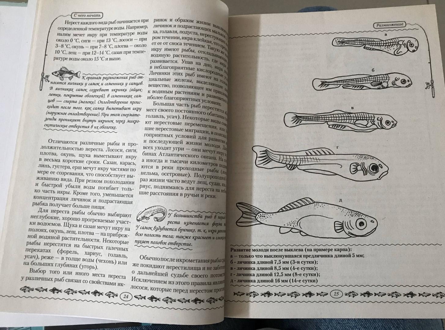 Иллюстрация 7 из 9 для Рыбалка на Руси - Михаил Кочетков | Лабиринт - книги. Источник: Ноговицина  Полина