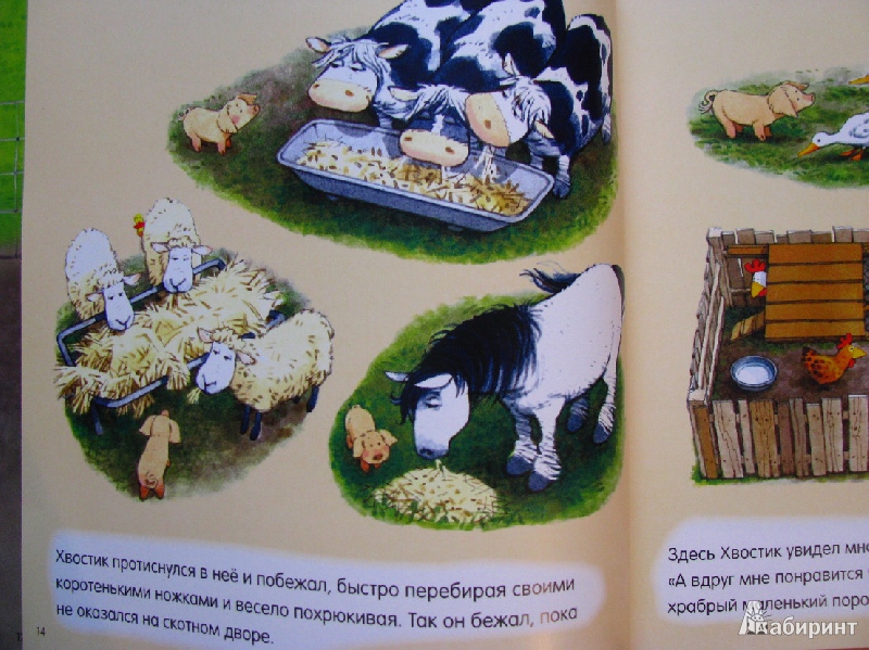 Иллюстрация 12 из 31 для Лучшие истории. Для детей от 5 лет | Лабиринт - книги. Источник: Татьян@