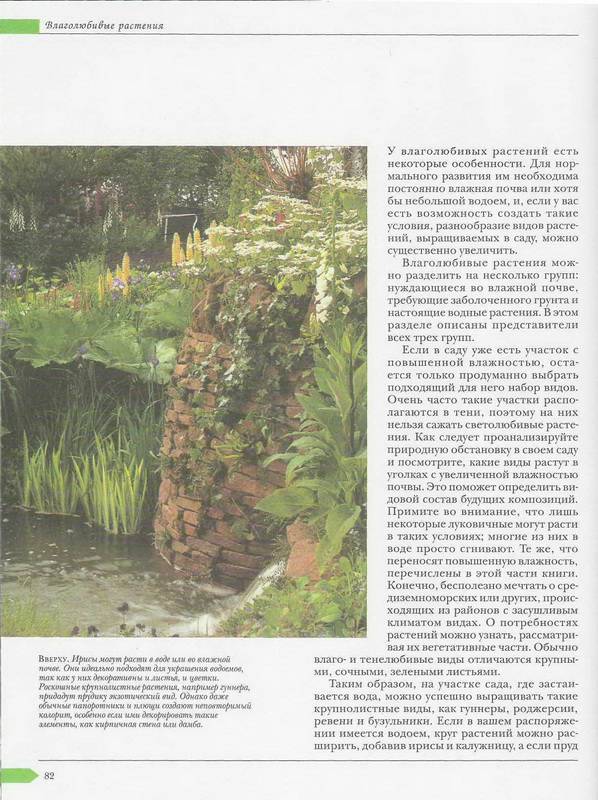 Иллюстрация 9 из 9 для Как подобрать садовые растения | Лабиринт - книги. Источник: Ялина