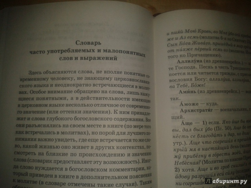 Иллюстрация 12 из 35 для Как научиться понимать молитвы утренние, вечерние и ко Святому Причащению | Лабиринт - книги. Источник: Наталья Мама