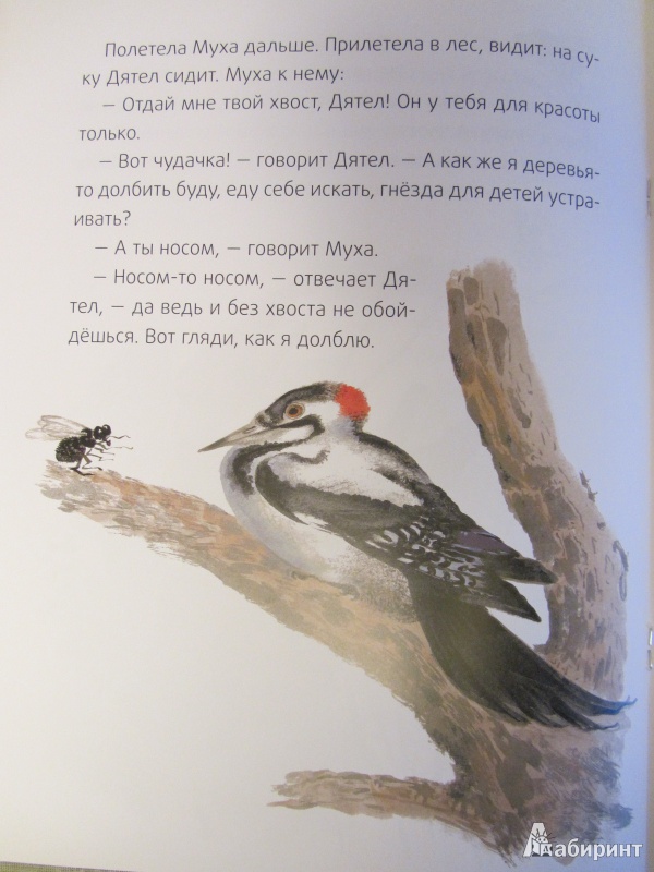 Иллюстрация 19 из 29 для Хвосты - Виталий Бианки | Лабиринт - книги. Источник: Сандракова Юля