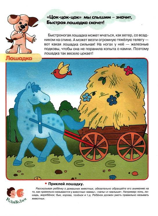 Иллюстрация 11 из 16 для Домашние животные. Первые уроки 3+ - Софья Буланова | Лабиринт - книги. Источник: Спанч Боб