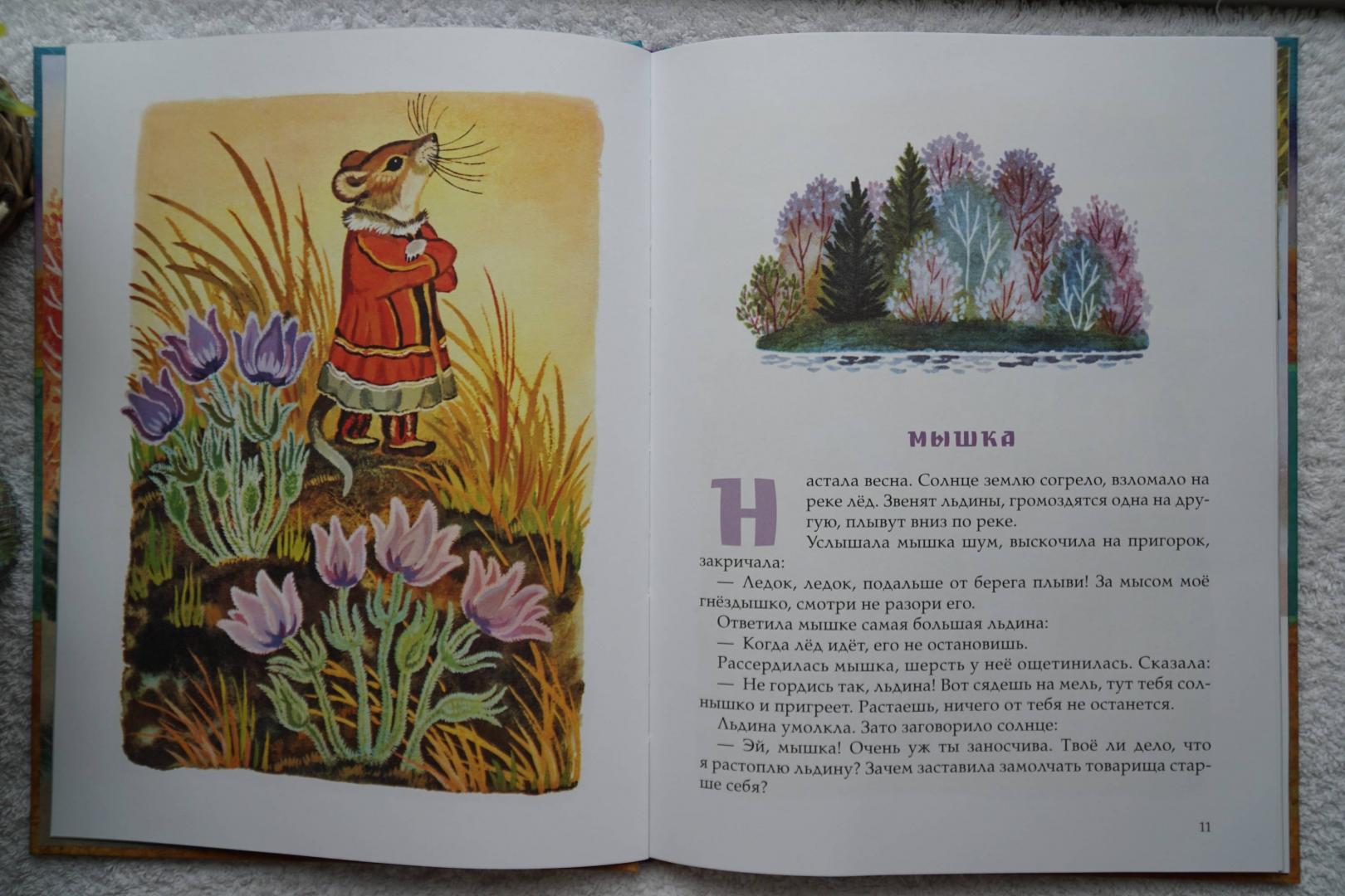 Иллюстрация 41 из 50 для Девочка-лебедь и другие северные сказки | Лабиринт - книги. Источник: Андреева Гульнара
