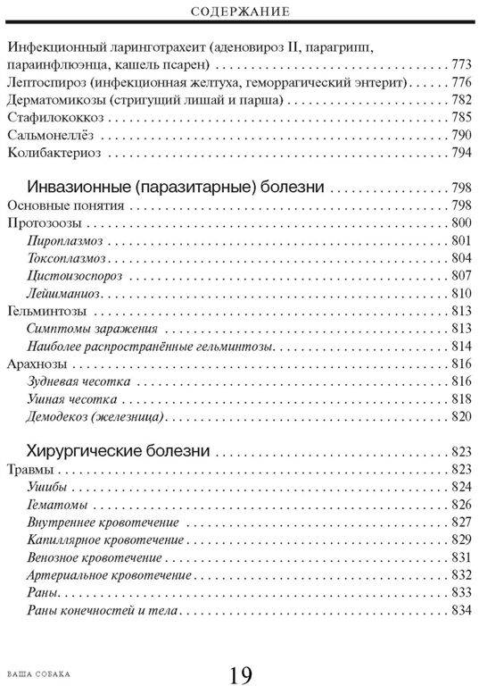 Иллюстрация 18 из 30 для Энциклопедический справочник. Ваша собака - Елена Мычко | Лабиринт - книги. Источник: Юта