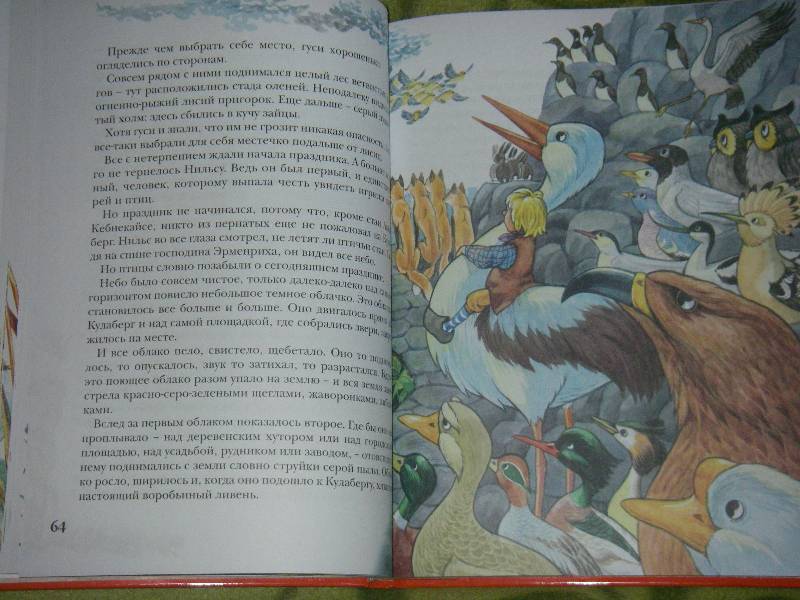 Иллюстрация 31 из 61 для Чудесное путешествие Нильса с дикими гусями - Сельма Лагерлеф | Лабиринт - книги. Источник: Ромашка:-)