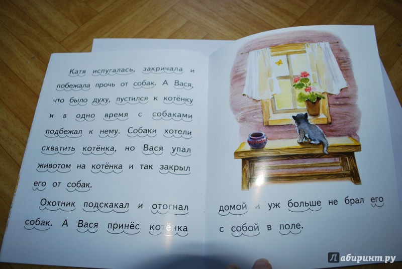 Иллюстрация 7 из 30 для Котёнок - Лев Толстой | Лабиринт - книги. Источник: Журавлёва  Анна