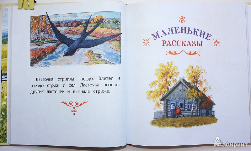 Иллюстрация 11 из 71 для Маленькие рассказы - Лев Толстой | Лабиринт - книги. Источник: Букландия