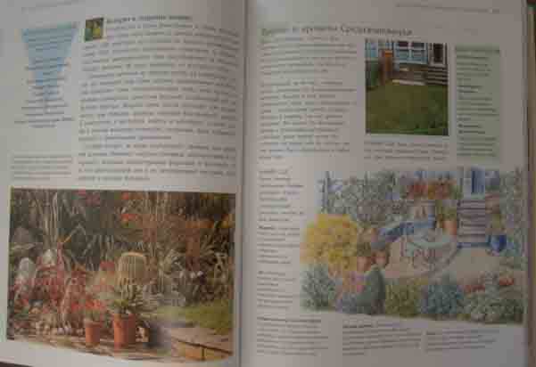 Иллюстрация 22 из 30 для Дивный сад без лишних хлопот | Лабиринт - книги. Источник: Easy