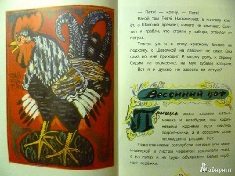 Иллюстрация 3 из 52 для Заячий букет - Коваль, Маврина | Лабиринт - книги. Источник: alex-sandr