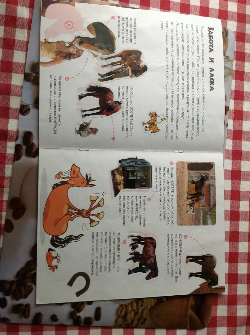 Иллюстрация 8 из 23 для Мои друзья - лошади | Лабиринт - книги. Источник: Лабиринт