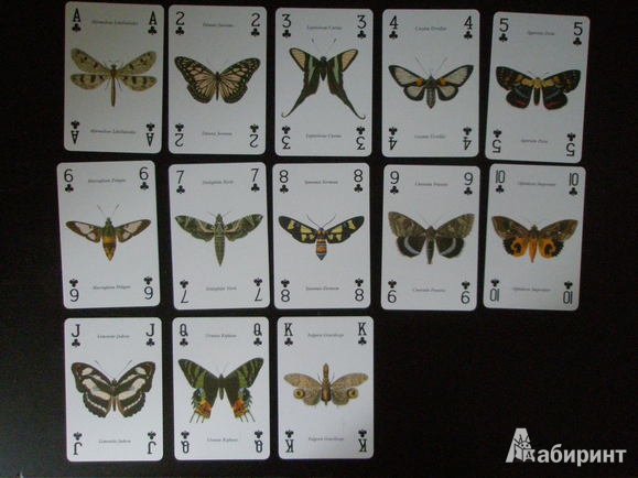 Иллюстрация 12 из 13 для Игральные карты "Бабочки" | Лабиринт - книги. Источник: Дмитриева  Светлана