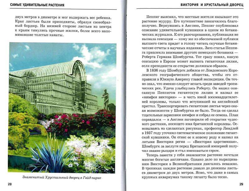 Иллюстрация 11 из 54 для Самые удивительные растения - Сергей Афонькин | Лабиринт - книги. Источник: Юта