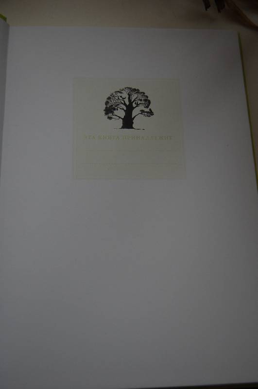Иллюстрация 41 из 50 для Тайна железного дерева - Софья Прокофьева | Лабиринт - книги. Источник: ИринаИ