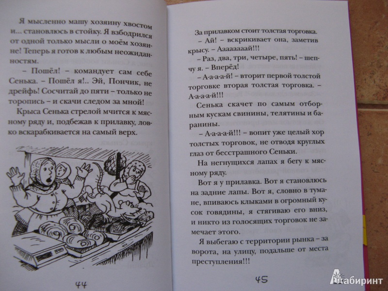 Иллюстрация 20 из 33 для Пончик идет по следу - Карен Арутюнянц | Лабиринт - книги. Источник: Ольга