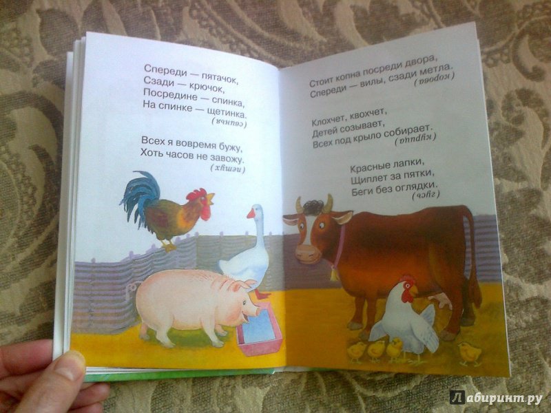 Иллюстрация 17 из 23 для Загадки для малышей | Лабиринт - книги. Источник: Мадикен