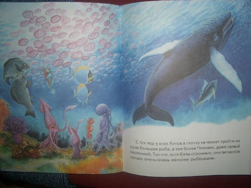 Иллюстрация 4 из 18 для Откуда у китов такая глотка - Редьярд Киплинг | Лабиринт - книги. Источник: Mex-mex