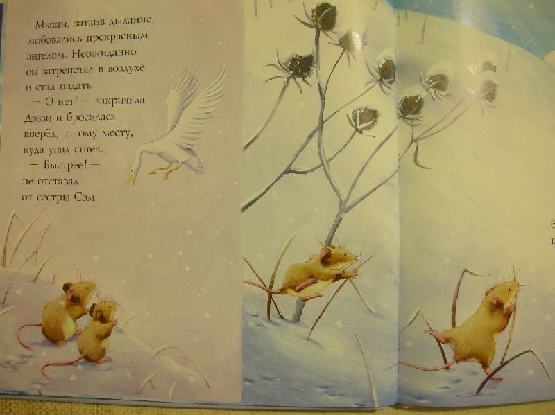 Иллюстрация 13 из 32 для Снежный ангел - Лисон, Чапмен | Лабиринт - книги. Источник: Мартынова  Анна Владимировна