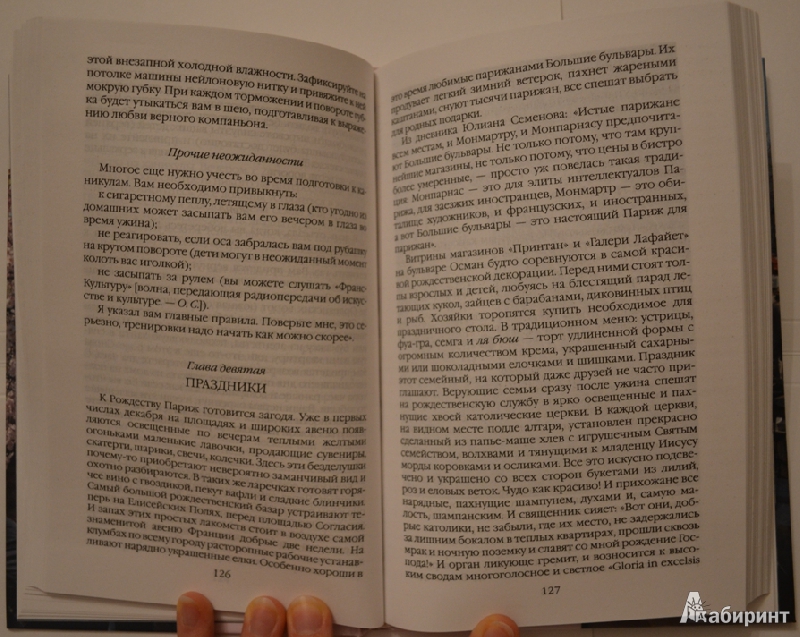 Иллюстрация 3 из 12 для Повседневная жизнь современного Парижа - Ольга Семенова | Лабиринт - книги. Источник: Galina