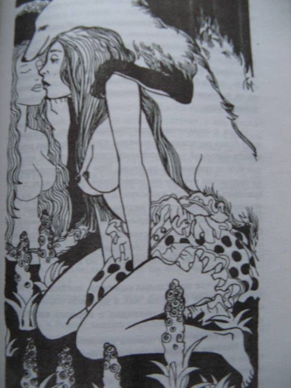 Иллюстрация 25 из 29 для Магички - Марта Кетро | Лабиринт - книги. Источник: Ольга