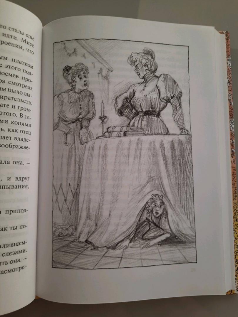 Иллюстрация 49 из 55 для Маленькая принцесса - Фрэнсис Бёрнетт | Лабиринт - книги. Источник: olga el touny