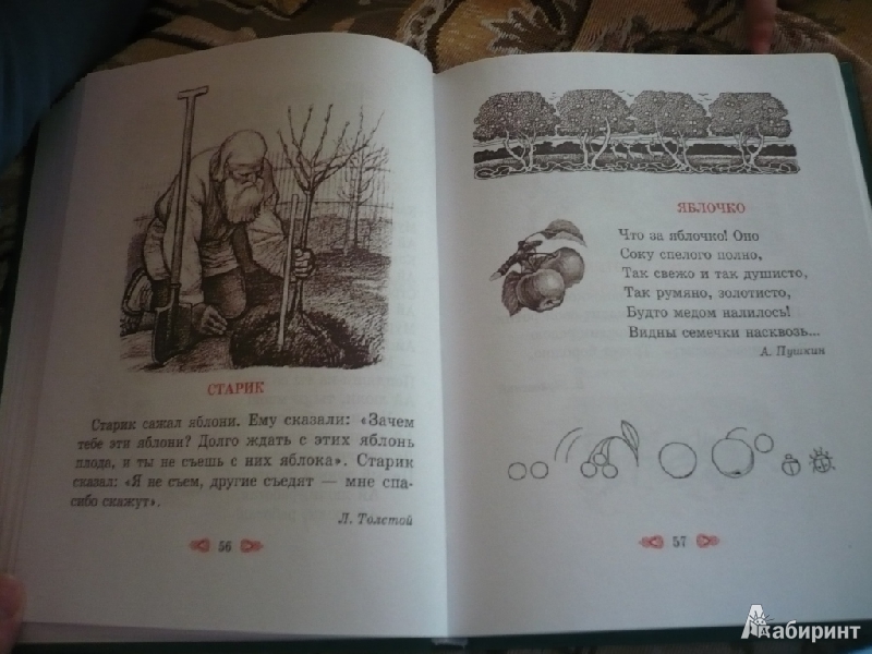 Иллюстрация 31 из 46 для Первое словечко. Хрестоматия для детей | Лабиринт - книги. Источник: angela_kvitka