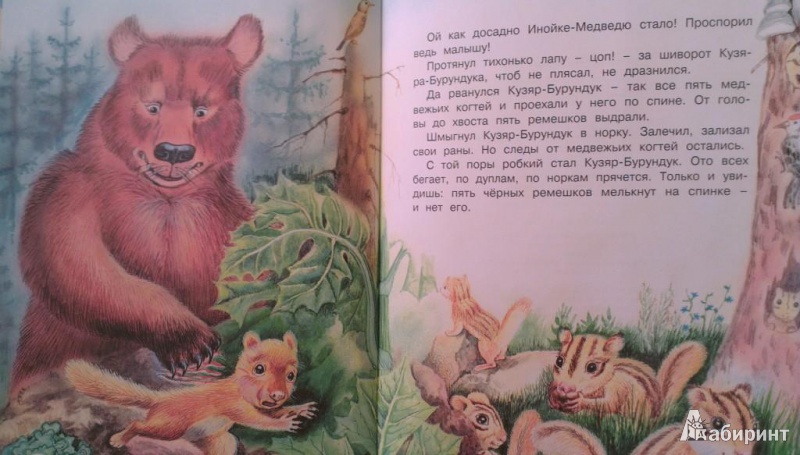 Иллюстрация 8 из 24 для Глаза и уши. Кузяр-Бурундук и Инойка-Медведь - Виталий Бианки | Лабиринт - книги. Источник: Katty