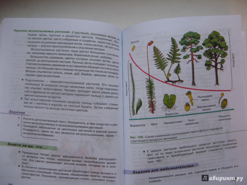 Биология 6 класс учебник пасечник 2023 читать