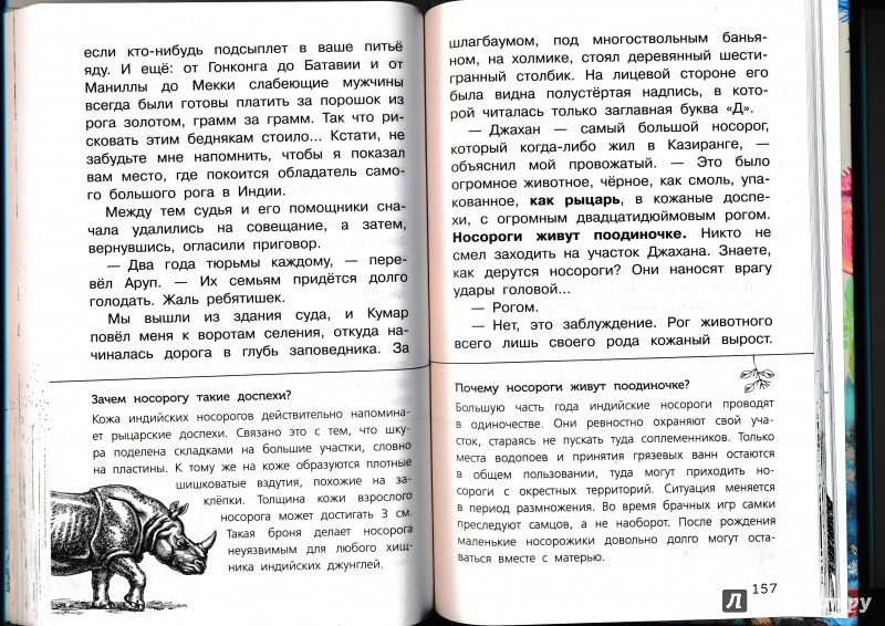 Иллюстрация 53 из 65 для Живые домики. С вопросами и ответами для почемучек - Сахарнов, Мосалов | Лабиринт - книги. Источник: Террил