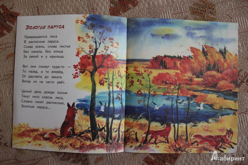 Иллюстрация 12 из 15 для Осень - рыжая лиса - Владимир Степанов | Лабиринт - книги. Источник: Глушко  Александр