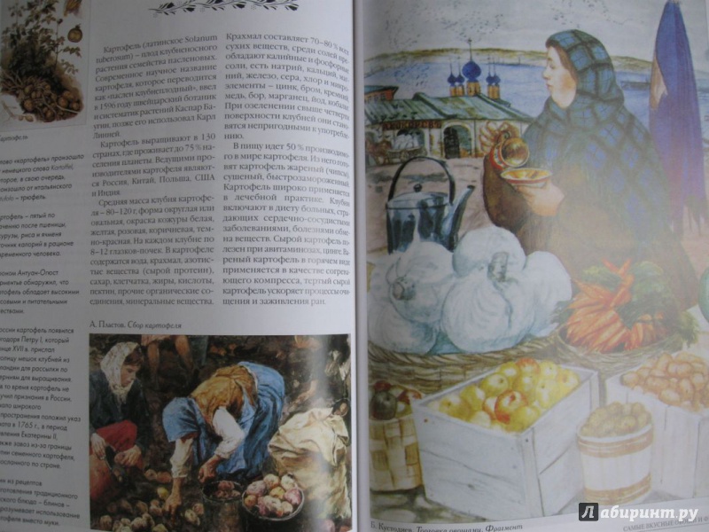 Иллюстрация 17 из 36 для Самые вкусные овощи и фрукты | Лабиринт - книги. Источник: В.