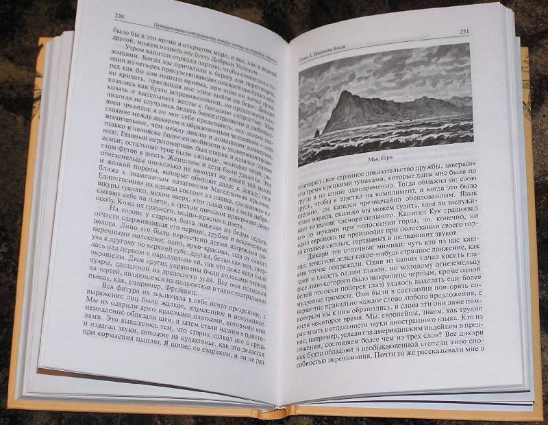 Иллюстрация 29 из 30 для Путешествие натуралиста вокруг света на корабле "Бигль". В 2-х книгах - Чарльз Дарвин | Лабиринт - книги. Источник: Ромина мама