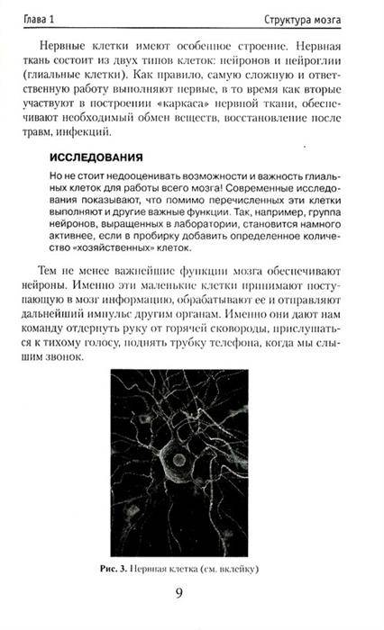 Иллюстрация 7 из 16 для Секреты мозга - Ирина Давыдова | Лабиринт - книги. Источник: Золотая рыбка