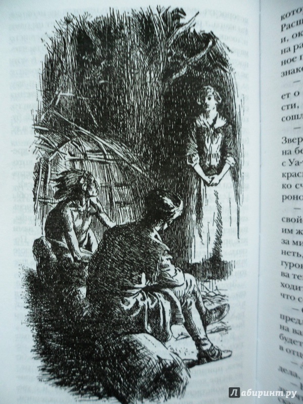 Иллюстрация 32 из 41 для Зверобой - Джеймс Купер | Лабиринт - книги. Источник: _sly_fox_spy_
