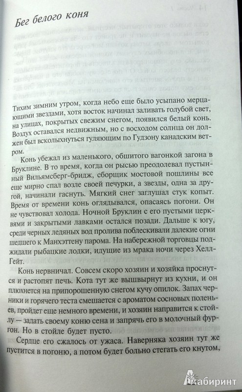 Иллюстрация 6 из 8 для Зимняя сказка - Марк Хелприн | Лабиринт - книги. Источник: Леонид Сергеев