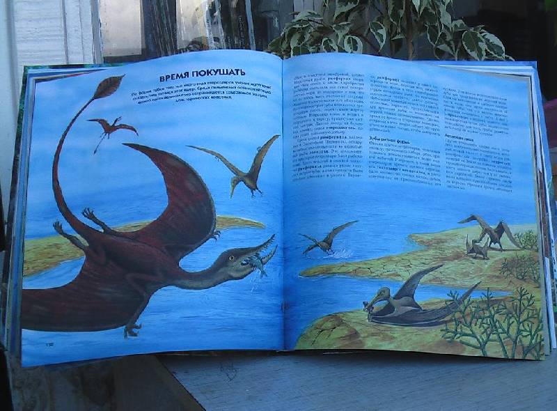 Иллюстрация 1 из 6 для Мир динозавров. Иллюстрированная энциклопедия | Лабиринт - книги. Источник: sliva