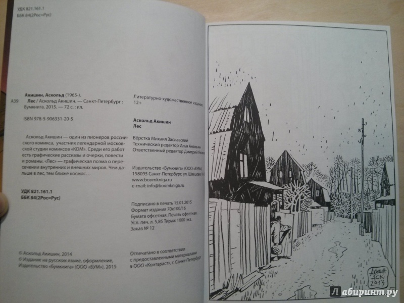 Иллюстрация 11 из 30 для Лес - Аскольд Акишин | Лабиринт - книги. Источник: NEOteric