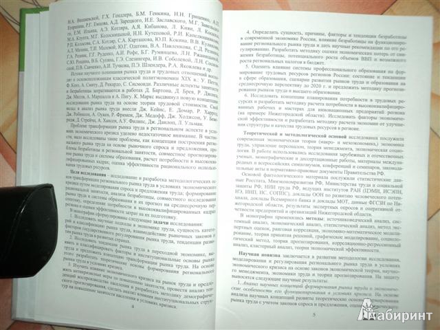 Иллюстрация 4 из 16 для Трансформация рынка труда России. Монография - Ирина Гуськова | Лабиринт - книги. Источник: Тиль