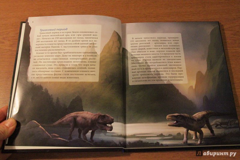 Иллюстрация 12 из 36 для Динозавры - Ирина Астапенко | Лабиринт - книги. Источник: ilinkova