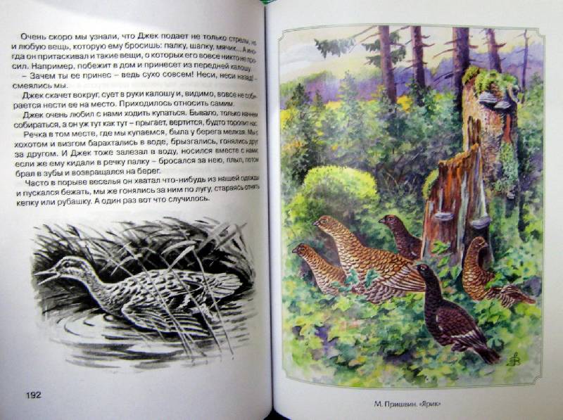 Иллюстрация 5 из 14 для 300 страниц про зверей и птиц | Лабиринт - книги. Источник: Спанч Боб