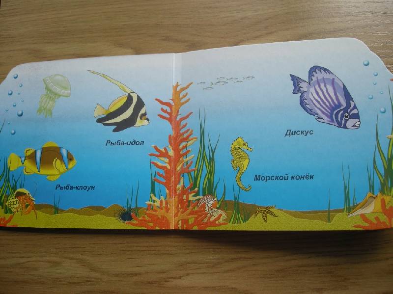 Иллюстрация 12 из 14 для Морские рыбы (вырубка) | Лабиринт - книги. Источник: Мартынова  Анна Владимировна