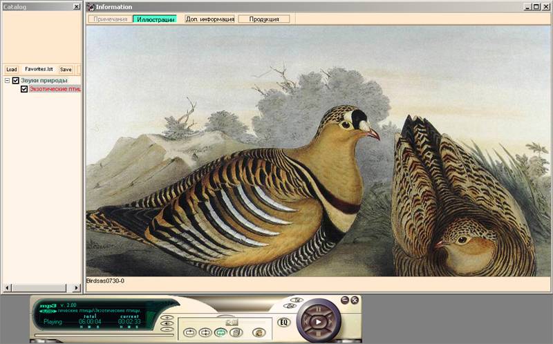 Иллюстрация 2 из 4 для Экзотические птицы (CDmp3) | Лабиринт - . Источник: Юлия7