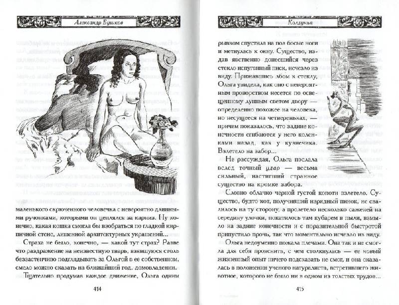 Иллюстрация 18 из 25 для Колдунья - Александр Бушков | Лабиринт - книги. Источник: Zhanna