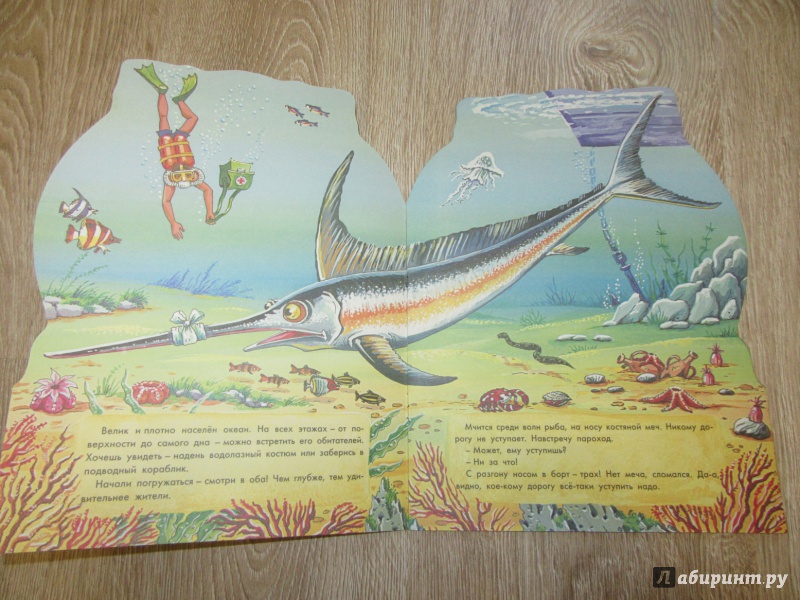 Иллюстрация 19 из 27 для Морские загадки - Святослав Сахарнов | Лабиринт - книги. Источник: дюдюка барбидокская